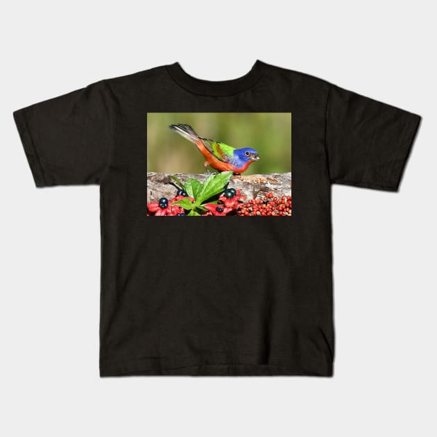 Painted Bunting Male Bird Kids T-Shirt by candiscamera